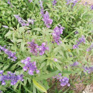 柔情我永远不懂