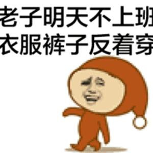 蓝蝙蝠