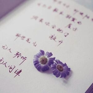 不会游泳的鱼
