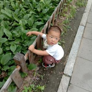 wangshiruyan