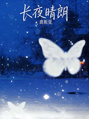 长夜晴朗[先婚后爱]