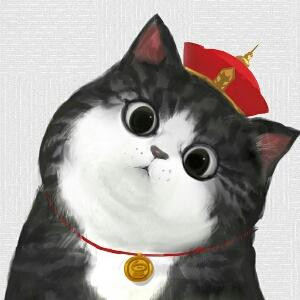 ?锦琇金缘?