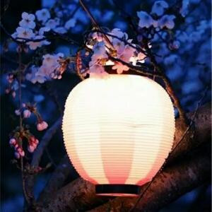 小贝小悠