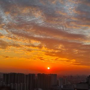 默言未语