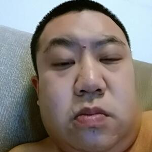 会飞的驴
