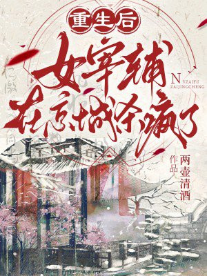 重生后,女宰辅在京城杀疯了