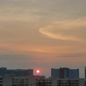 玮柏