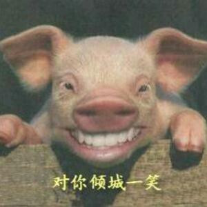 无与伦比