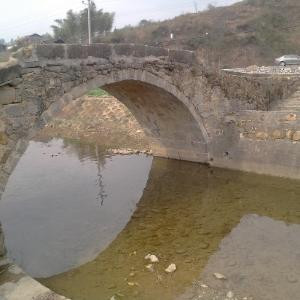左岸如菲