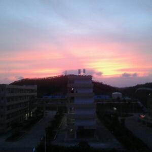 瑞瑞