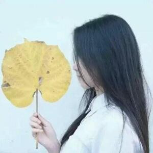 八月柒秋叶初凉