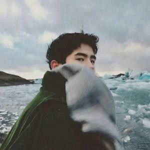 她的故事她的梦