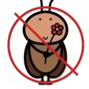 纯情狂野母蟑螂