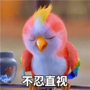 幸福宝宝