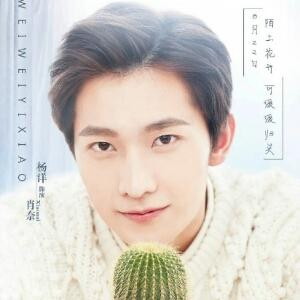 屿岛归人