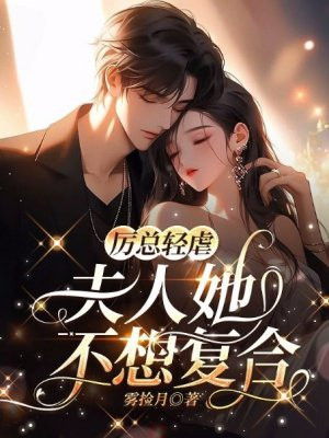 厉总轻虐，夫人她不想复合