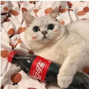 茹