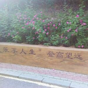 i722028194丫丫