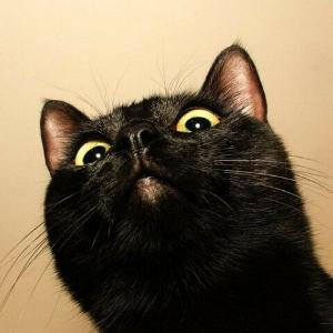 人家不是猴哥啦