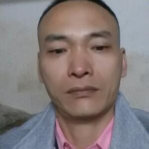 龙