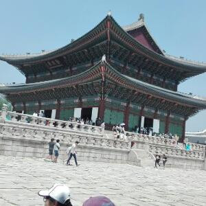 梦飞来