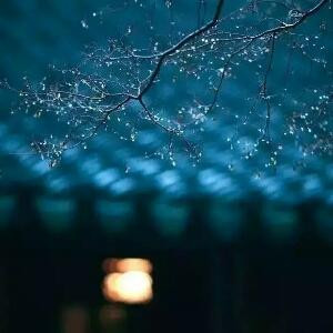 黄金