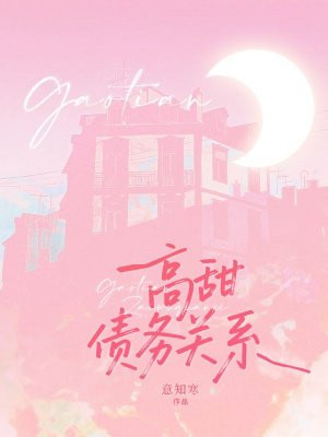 高甜债务关系