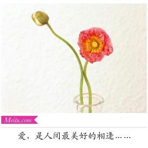 书海行云
