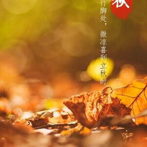 让往事如烟飘荡