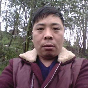 罗伟