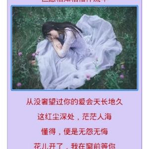 亲亲
