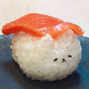 是只小饭团呀