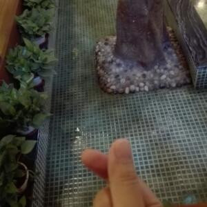 暖阳