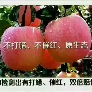 龙哥