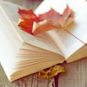 书到读时方恨少