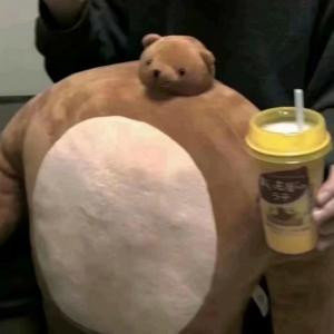 陌紫