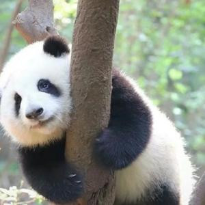 兔妙妙