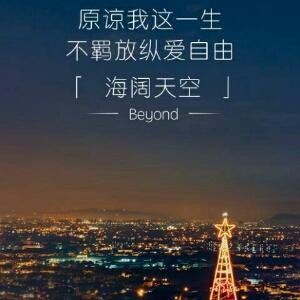 樱花雨
