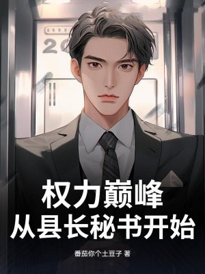 权力巅峰：从县长秘书开始