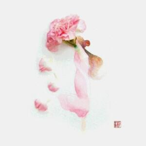 花花花屠