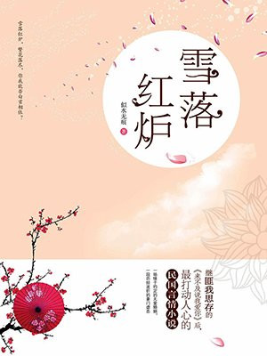 雪落红炉