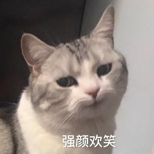 一根汗毛迎风飘