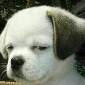 八千里路云和月