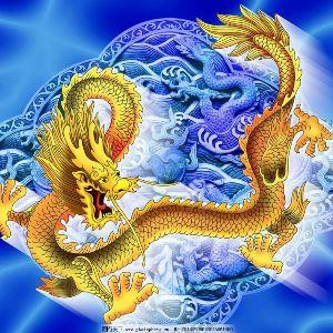 龙行天下