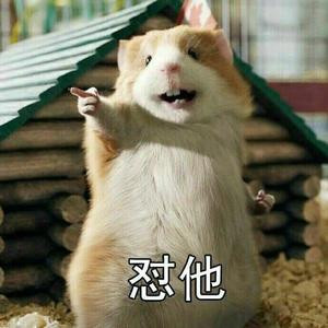 二十七