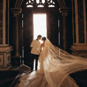 小晖晖的小灰灰