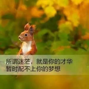 书虫