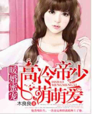 暖婚蜜宠：高冷帝少萌萌爱