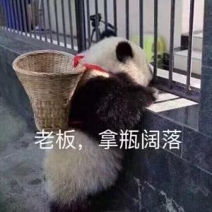 强哥