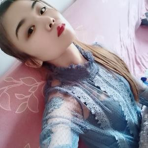 一只猫的旅行